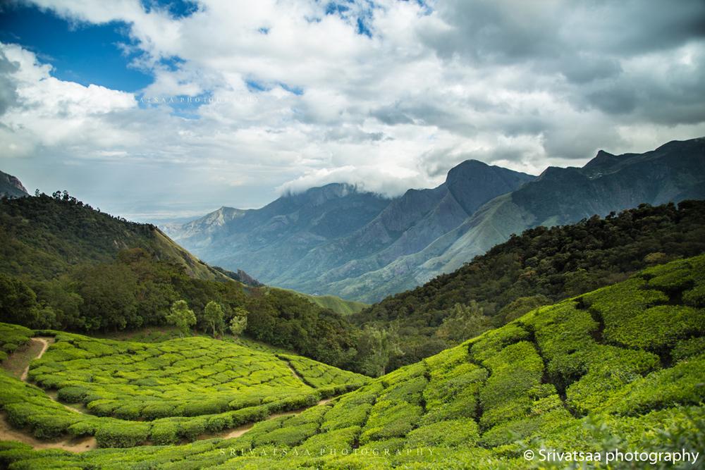 Hidden Jewel Munnar Idukki District Kerala